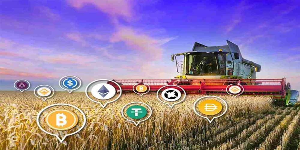 Yield-farming1-chist-ak-01