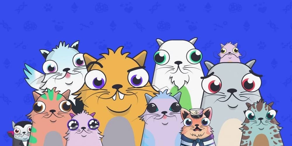cryptokitties-chist-ak-01